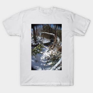 Winter Wonder T-Shirt